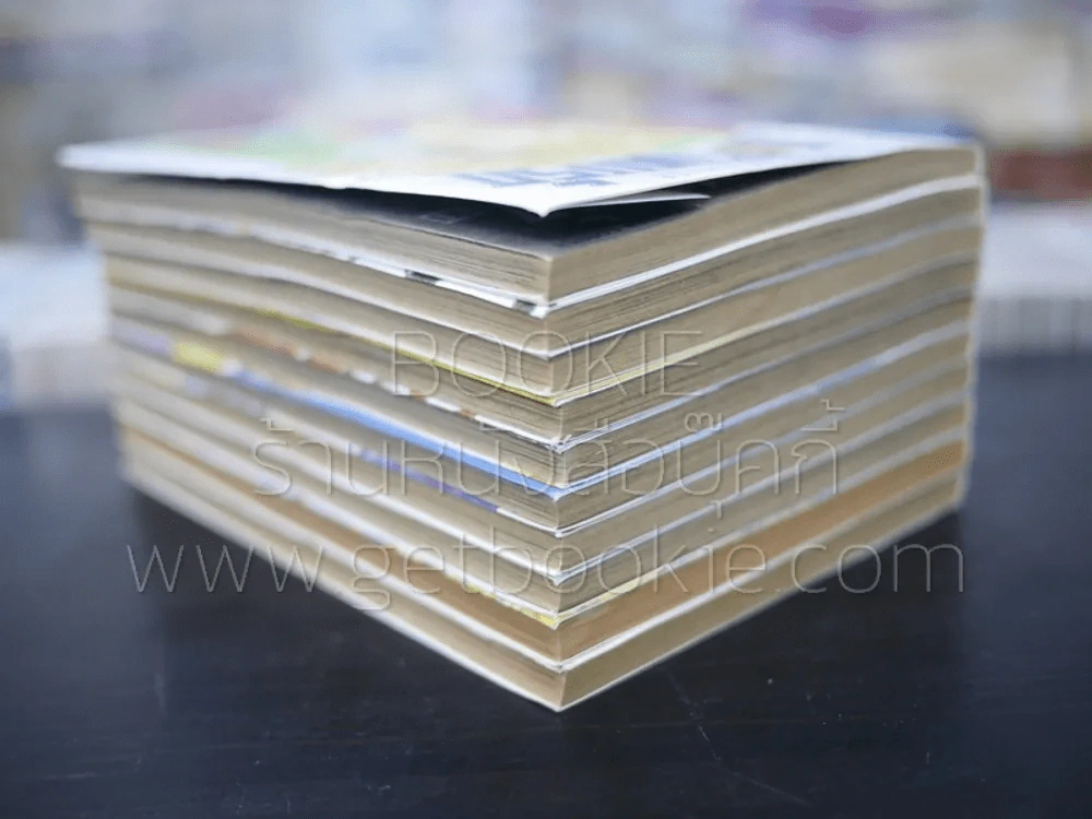 ข้ามภพมาพบรัก 10 เล่มจบ รูปที่ 5