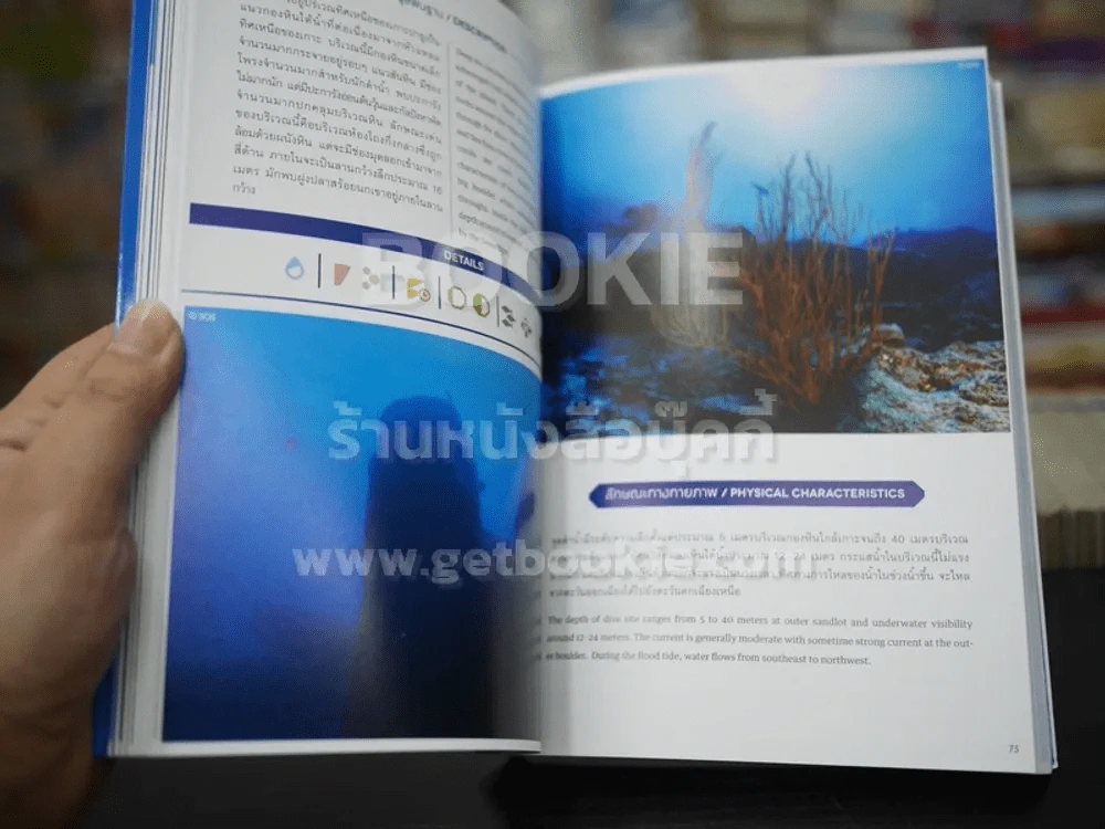 แหล่งดำน้ำที่สำคัญในประเทศไทย รูปที่ 3