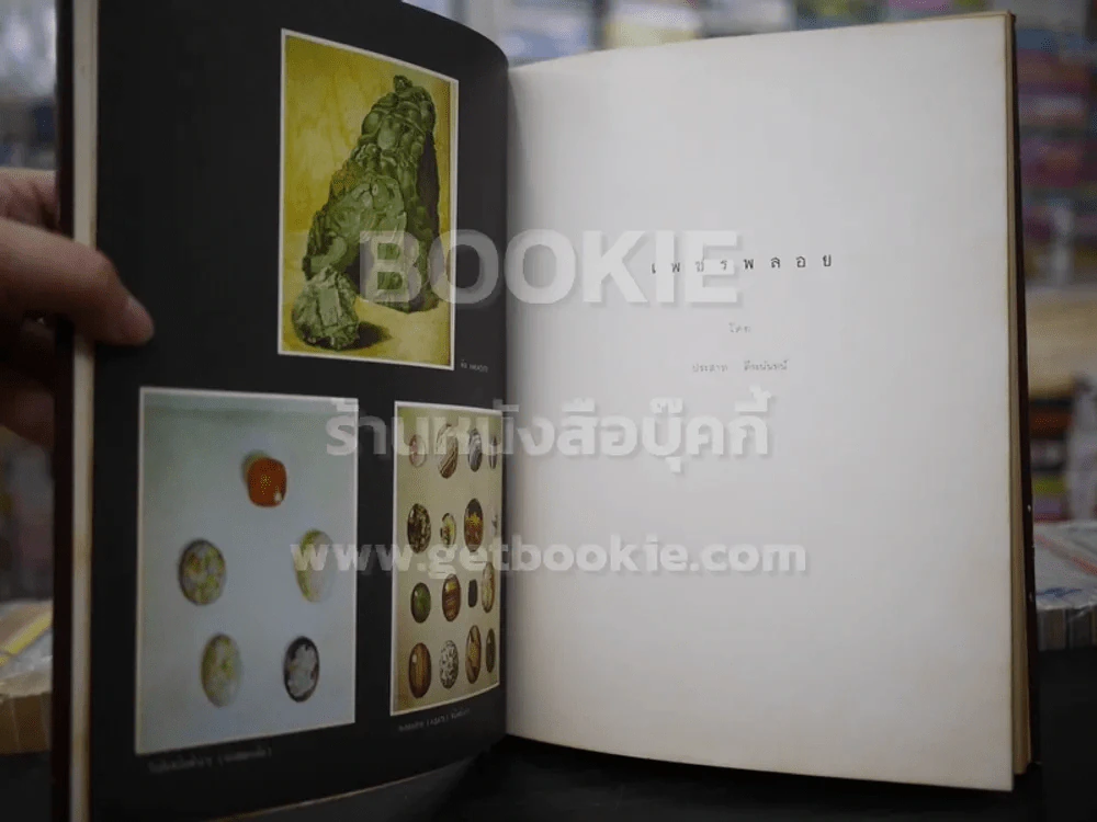 เพชรพลอย - ประสาท ตีระนันทน์ (ปกแข็ง) รูปที่ 4