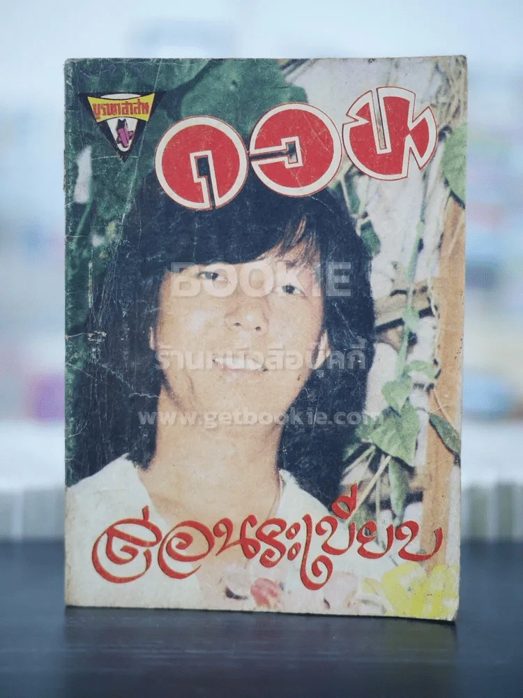 ดอน สอนระเบียบ (รวมเพลง) รูปที่ 1