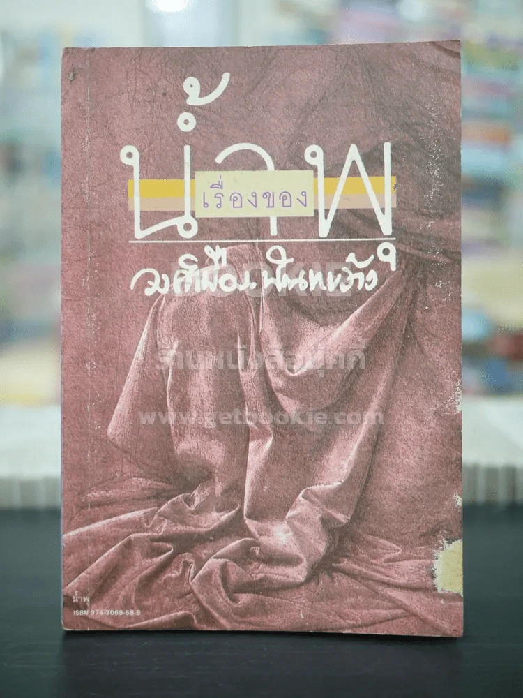 เรื่องของน้ำพุ - วงศ์เมือง นันทขว้าง รูปที่ 1
