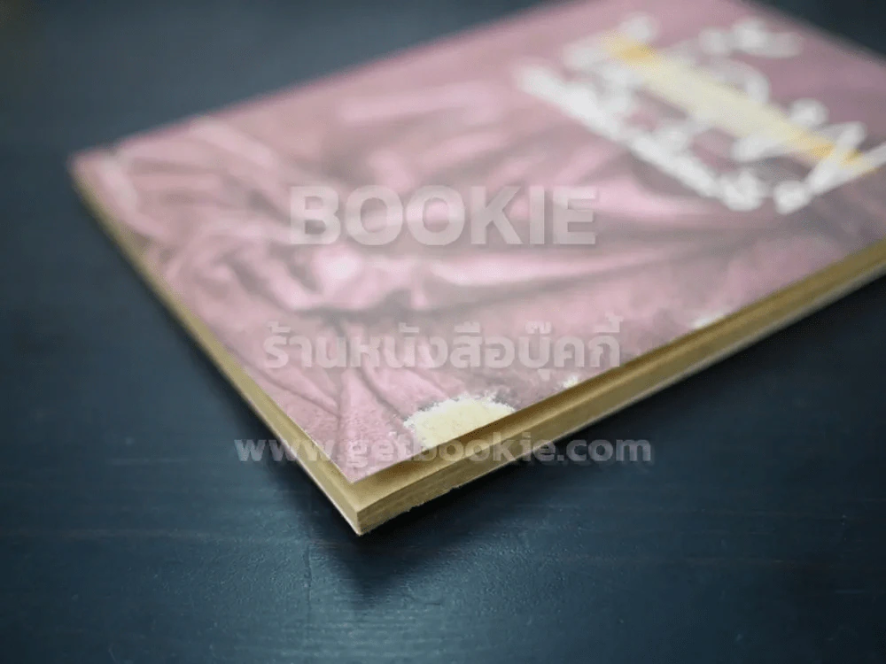 เรื่องของน้ำพุ - วงศ์เมือง นันทขว้าง รูปที่ 3