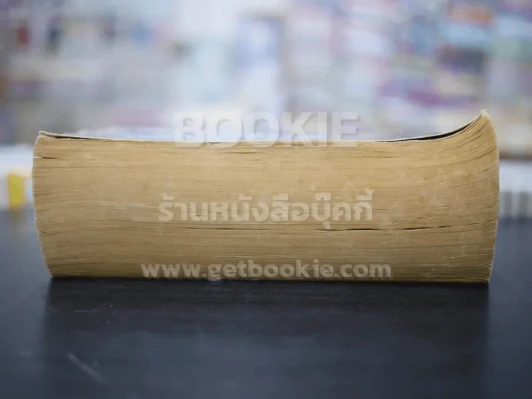 The Stand - Stephen King รูปที่ 3
