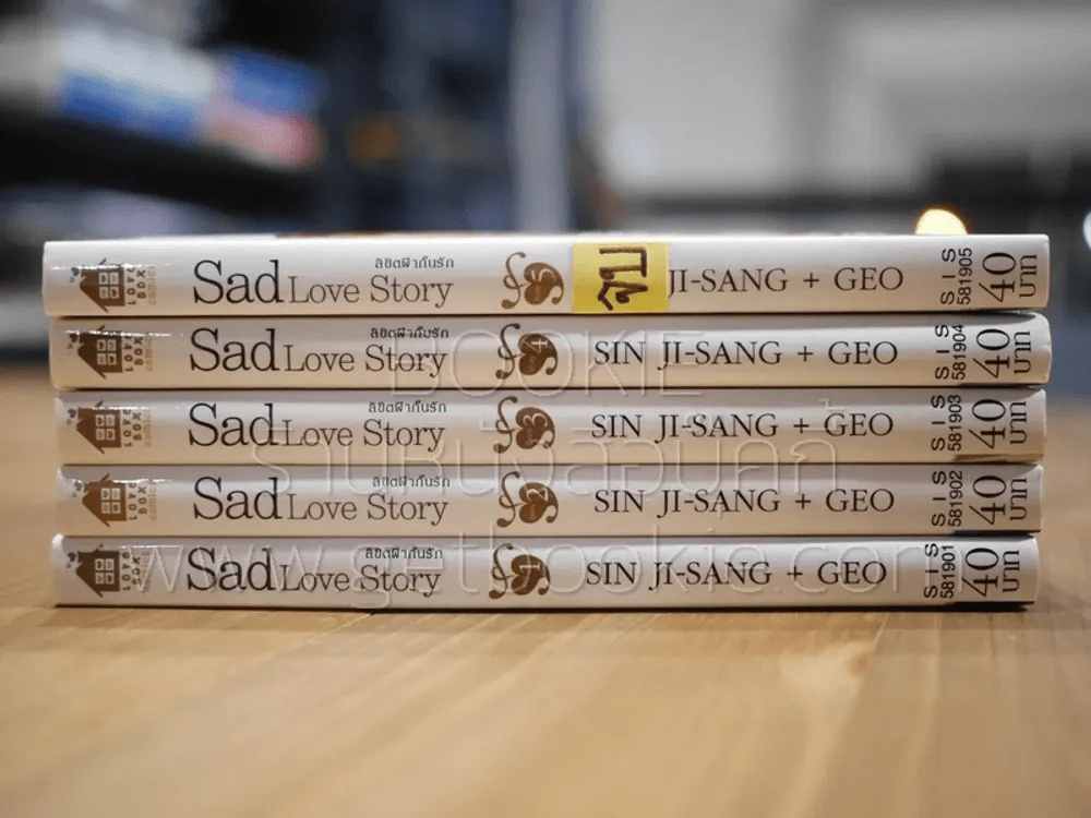 Sad Love Story ลิขิตฟ้ากั้นรัก 5 เล่มจบ รูปที่ 2