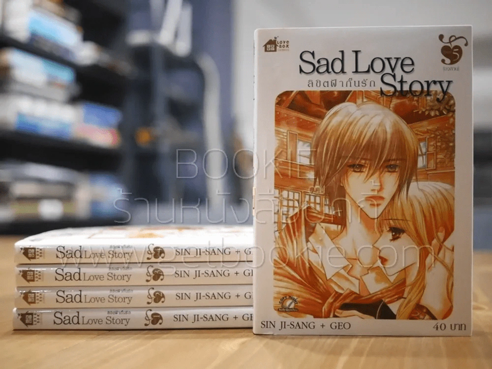 Sad Love Story ลิขิตฟ้ากั้นรัก 5 เล่มจบ รูปที่ 1