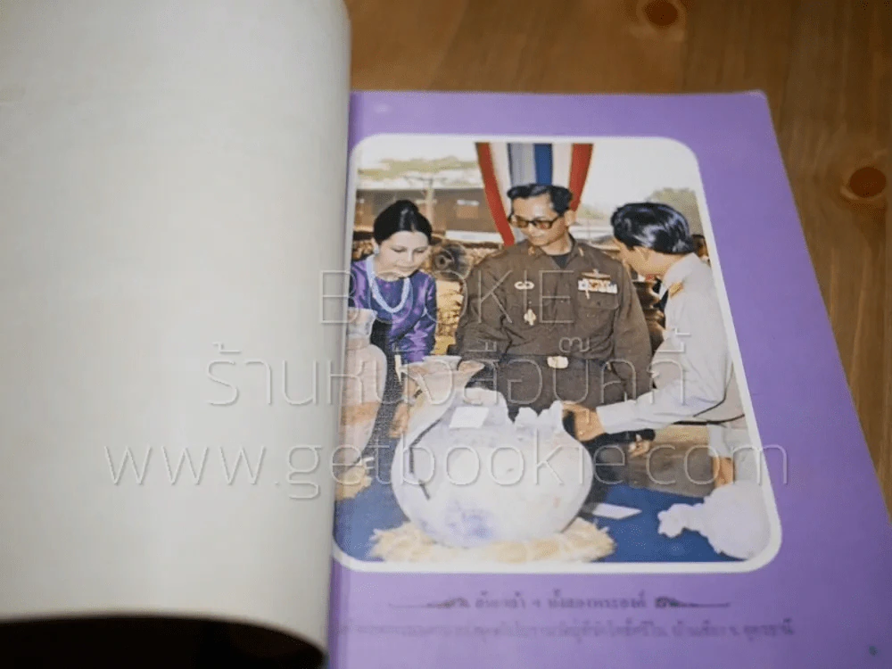 ภาพภาชนะลายเขียนสีที่บ้านเชียง Ban Chiang รูปที่ 3