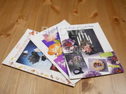รวมงานฝีมือ 11 เล่ม รูปที่ 4