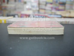 ปราณรัก - แอลลี่ (สภาพไม่ดี) รูปที่ 3