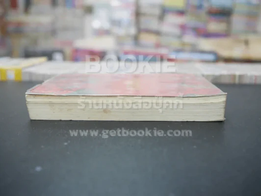 ปราณรัก - แอลลี่ (สภาพไม่ดี) รูปที่ 3