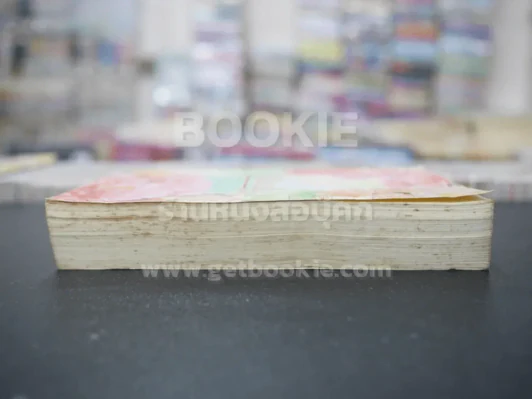 บ่วงดวงใจ - แอลลี่ (สภาพไม่ดี) รูปที่ 3