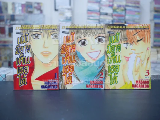 แม้มิอาจเห็นเธอได้ 3 เล่มจบ รูปที่ 1