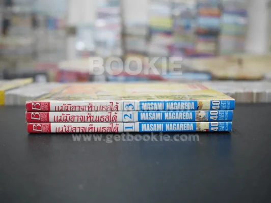 แม้มิอาจเห็นเธอได้ 3 เล่มจบ รูปที่ 2