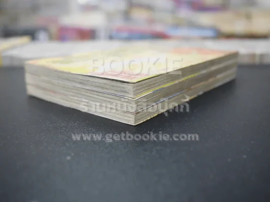 แม้มิอาจเห็นเธอได้ 3 เล่มจบ รูปที่ 4