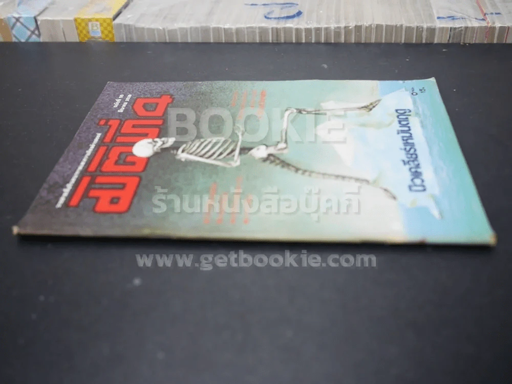 มิติที่ 4 ฉบับที่ 55 มี.ค. 2528 รูปที่ 2