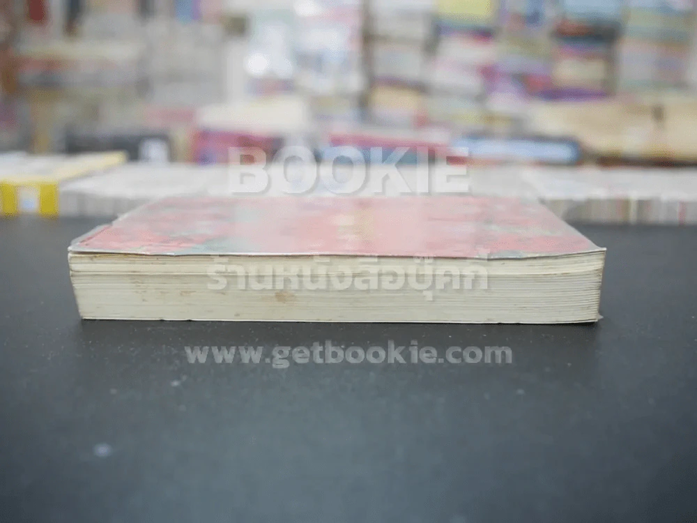 ปราณรัก - แอลลี่ (สภาพไม่ดี) รูปที่ 3