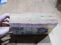 รันม่า 1/2 ไอ้หนุ่มกังฟู 38 เล่มจบ (สภาพไม่สวย 3 เล่ม) รูปที่ 7