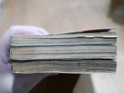 รันม่า 1/2 ไอ้หนุ่มกังฟู 38 เล่มจบ (สภาพไม่สวย 3 เล่ม) รูปที่ 6