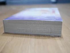 สืบลับรหัสรัก - กิ่งฉัตร รูปที่ 3