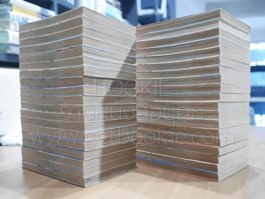 รันม่า 1/2 ไอ้หนุ่มกังฟู 38 เล่มจบ (สภาพไม่สวย 3 เล่ม) รูปที่ 3