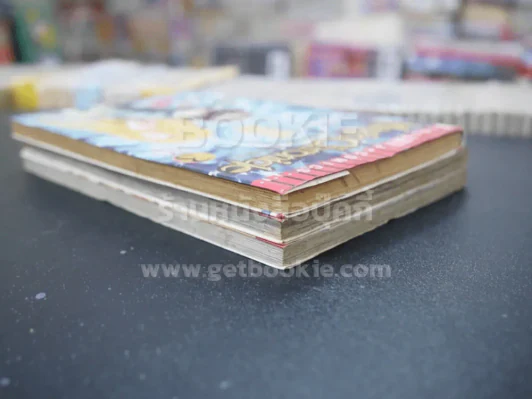 Magic Chronicle 4 เล่มจบ (ขาดเล่ม 4) รูปที่ 5