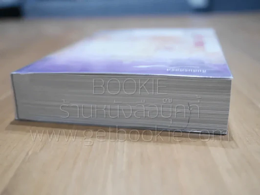 สืบลับรหัสรัก - กิ่งฉัตร รูปที่ 3