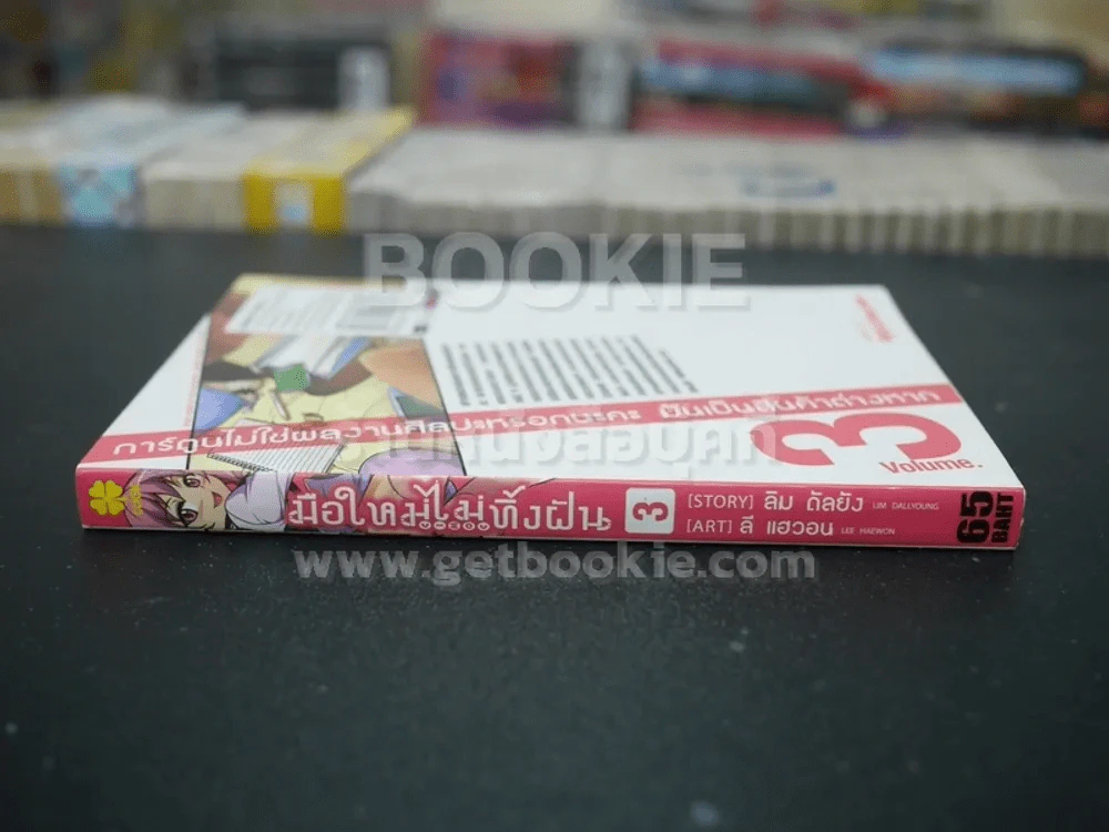 มือใหม่ไม่ทิ้งฝัน เล่ม 3 รูปที่ 2