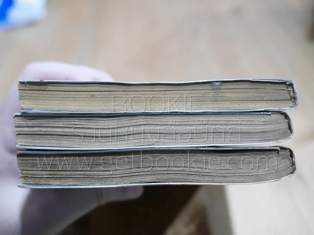 รันม่า 1/2 ไอ้หนุ่มกังฟู 38 เล่มจบ (สภาพไม่สวย 3 เล่ม) รูปที่ 8