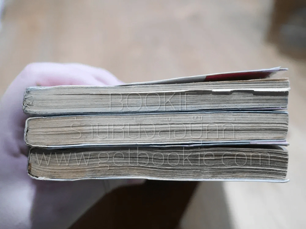 รันม่า 1/2 ไอ้หนุ่มกังฟู 38 เล่มจบ (สภาพไม่สวย 3 เล่ม) รูปที่ 6