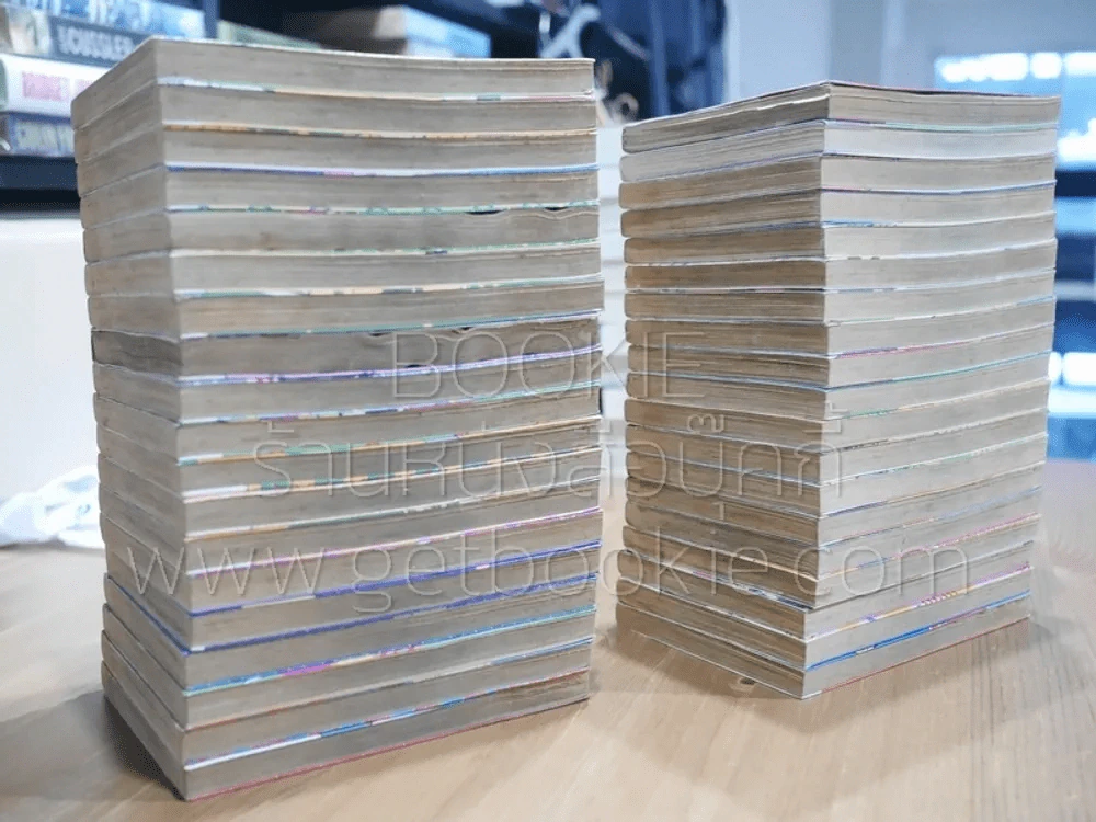 รันม่า 1/2 ไอ้หนุ่มกังฟู 38 เล่มจบ (สภาพไม่สวย 3 เล่ม) รูปที่ 4
