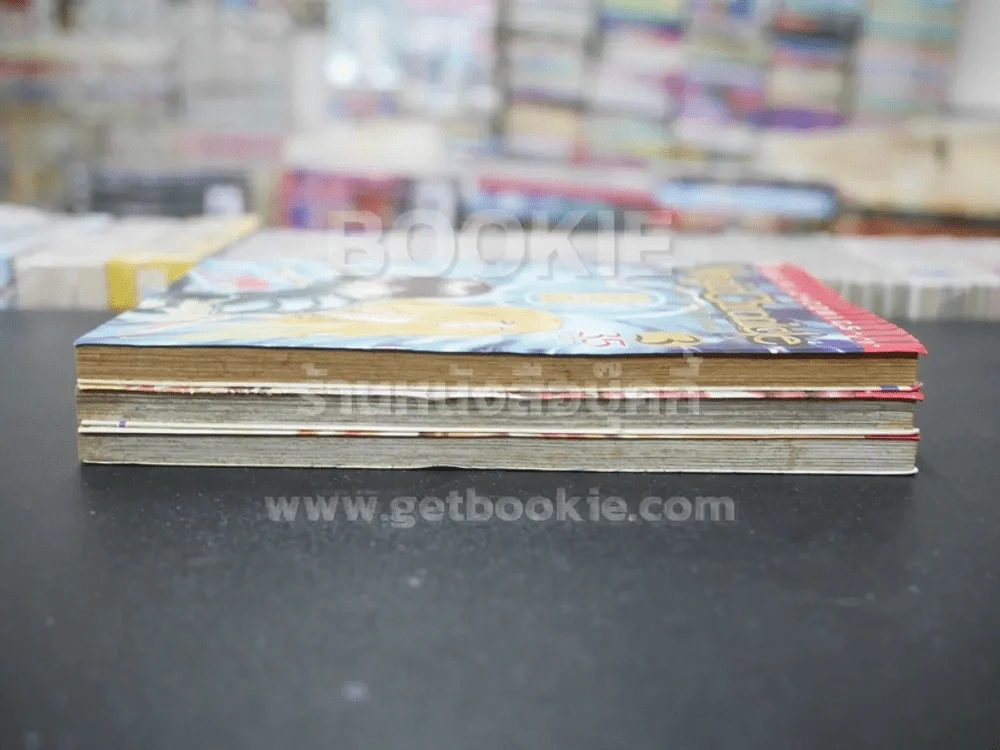 Magic Chronicle 4 เล่มจบ (ขาดเล่ม 4) รูปที่ 3