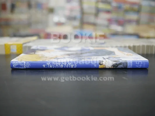 จะไม่รักได้ไงไหว (สภาพดี) รูปที่ 2