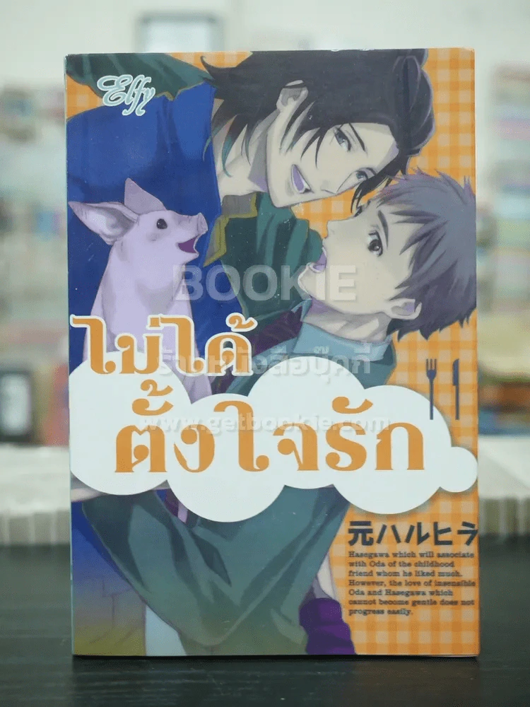 ไม่ได้ตั้งใจรัก (สภาพดี) รูปที่ 1