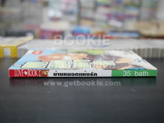 ม่านหมอกแห่งรัก (สภาพดี) รูปที่ 2