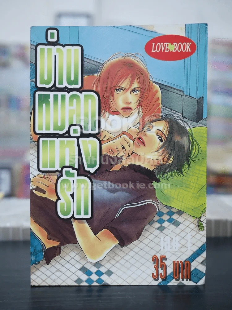 ม่านหมอกแห่งรัก (สภาพดี) รูปที่ 1