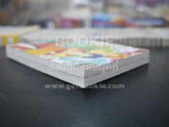 รักฉบับไอน้ำ 2 เล่มจบ (สภาพดี) รูปที่ 5