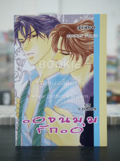 จนมุมรัก (สภาพดี) รูปที่ 1