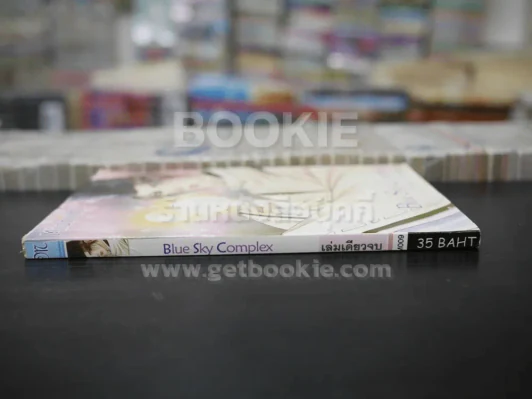 Blue Sky Complex (สภาพดี) รูปที่ 2