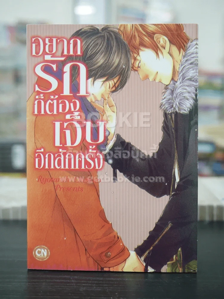 อยากรักก็ต้องเจ็บอีกสักครั้ง (สภาพดี) รูปที่ 1