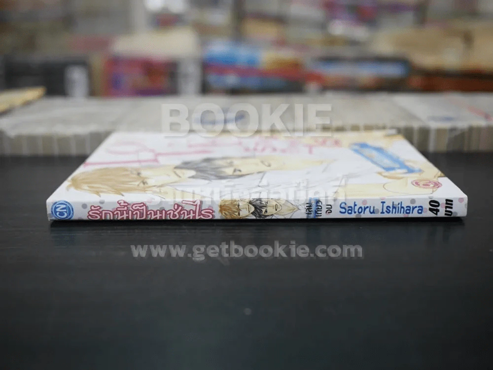 รักนี้เป็นเช่นไร (สภาพดี) รูปที่ 2