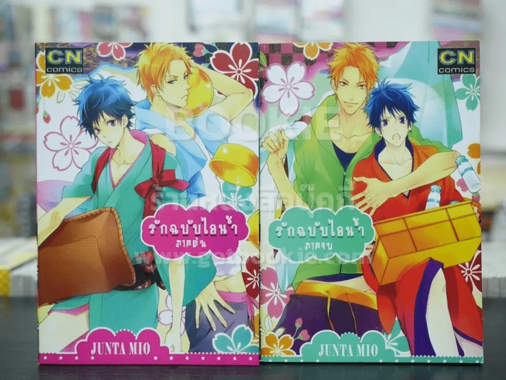 รักฉบับไอน้ำ 2 เล่มจบ (สภาพดี) รูปที่ 1