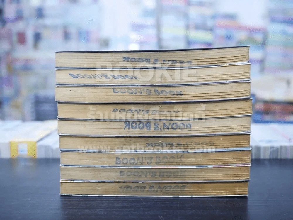 ไซยูกิ 9 เล่มจบ รูปที่ 3