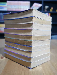 ลูกผู้ชายลิขิตฟ้า 10 เล่มจบ - อิเคงามิ เรียวอิจิ รูปที่ 3