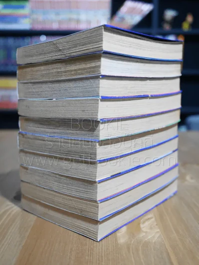 ลูกผู้ชายลิขิตฟ้า 10 เล่มจบ - อิเคงามิ เรียวอิจิ รูปที่ 4