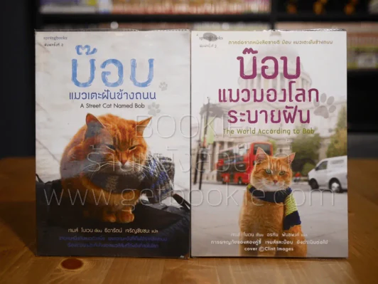 บ๊อบ แมวเตะฝันข้างถนน + บ๊อบ แมวมองโลกระบายฝัน รูปที่ 1