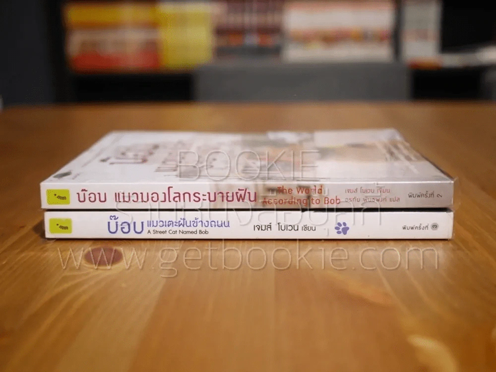 บ๊อบ แมวเตะฝันข้างถนน + บ๊อบ แมวมองโลกระบายฝัน รูปที่ 2
