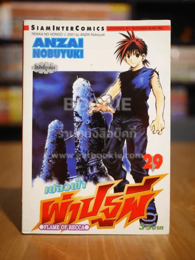 เปลวฟ้าผ่าปฐพี เล่ม 29 รูปที่ 1
