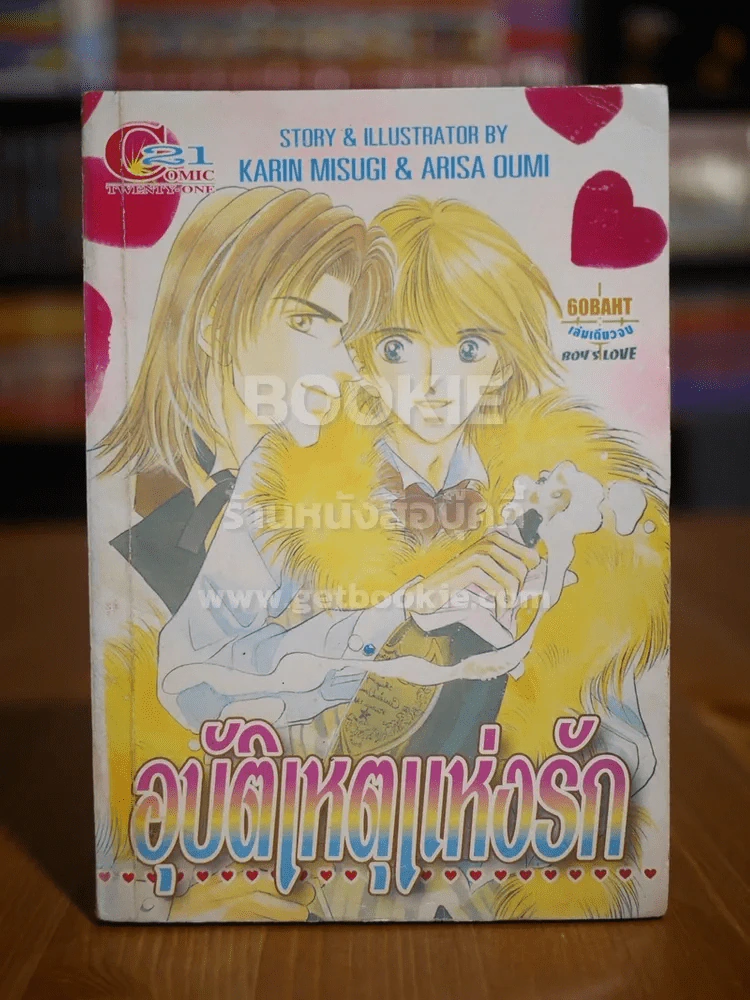 อุบัติเหตุแห่งรัก รูปที่ 1