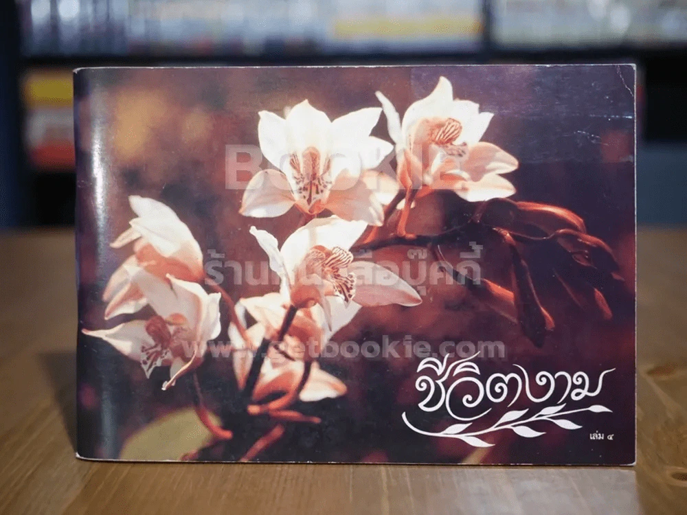 ชีวิตงาม เล่ม 4 รูปที่ 1