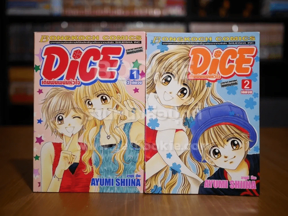 Dice เดิมพันพนันหัวใจ 2 เล่มจบ รูปที่ 1