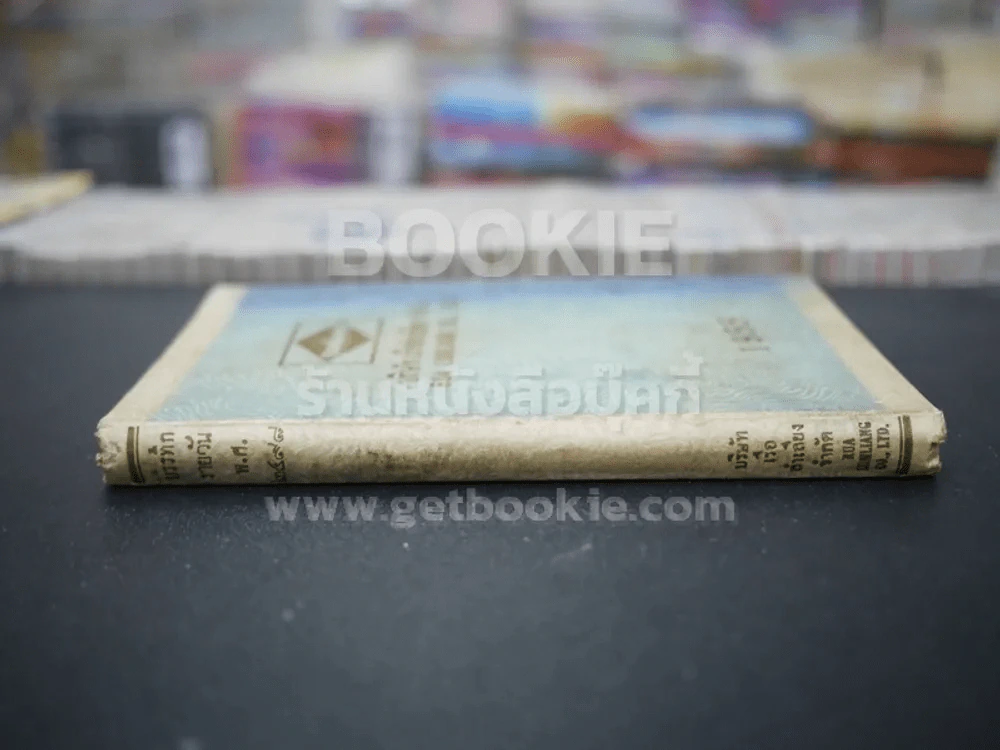 Diary บริษัทเรือลำเลียง จำกัด 1995 รูปที่ 2